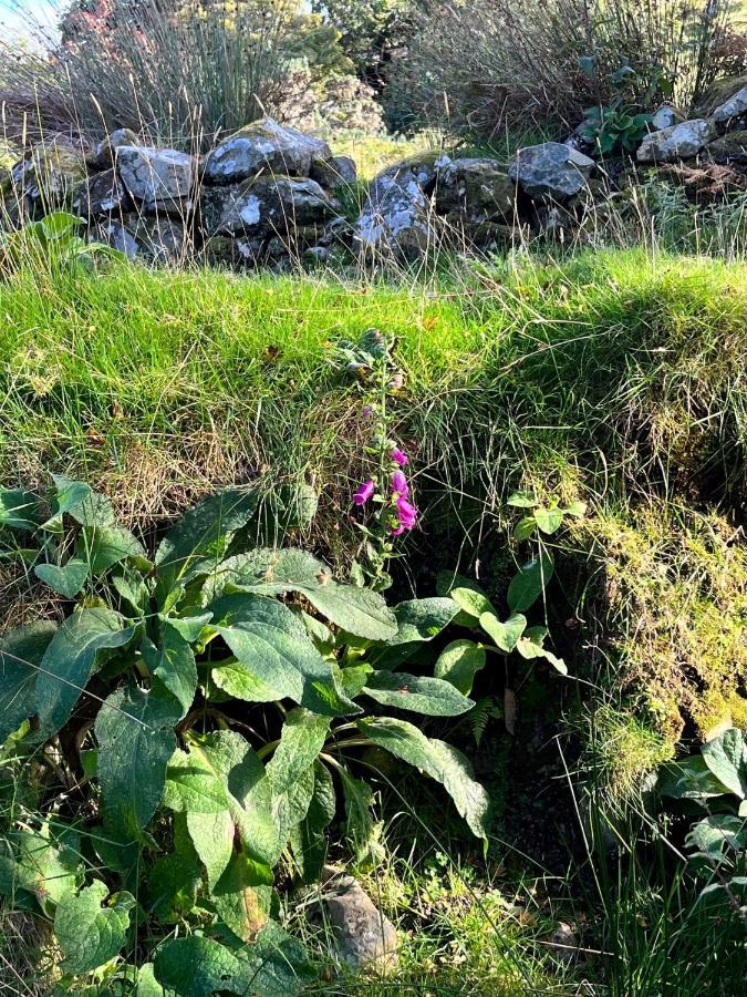 The Hazel Hut * Westport