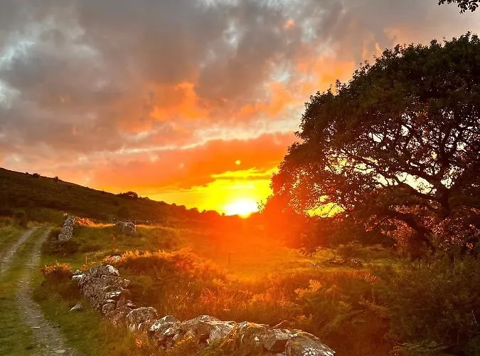 The Hazel Hut