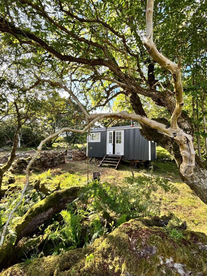 The Hazel Hut