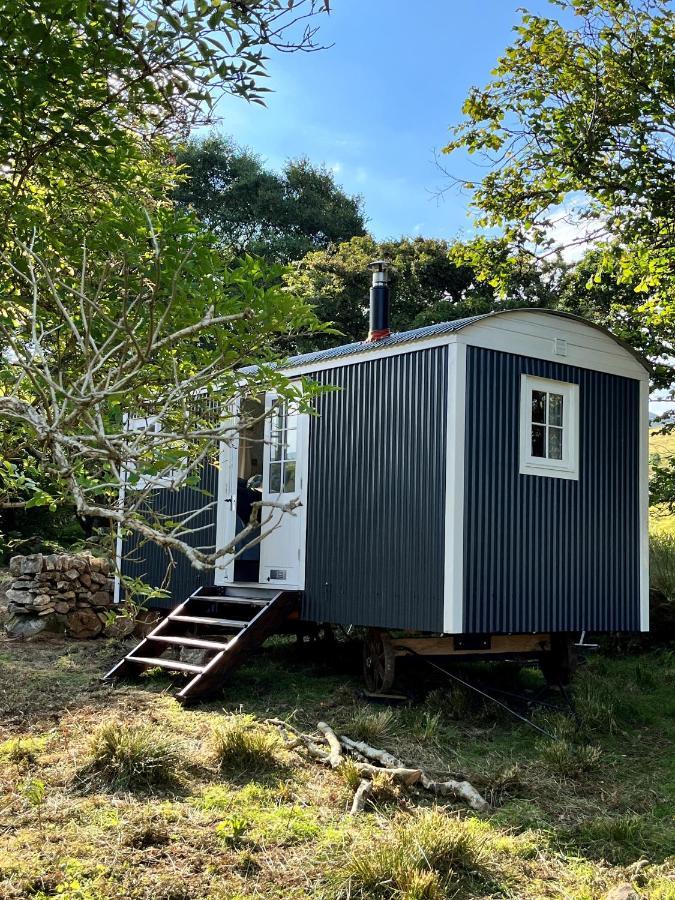 The Hazel Hut *