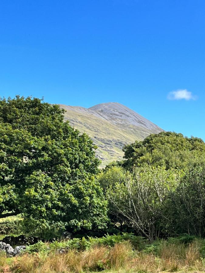 The Hazel Hut Lodge Westport
